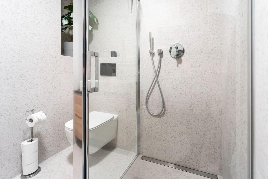 Insady - In Brno-center Apartment Brno